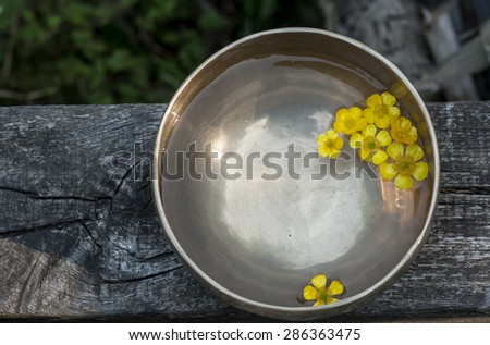yellow flowers floating in a tibetan bowl