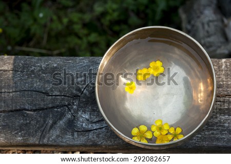 tibetan bowl with buttercup flowers floating in it