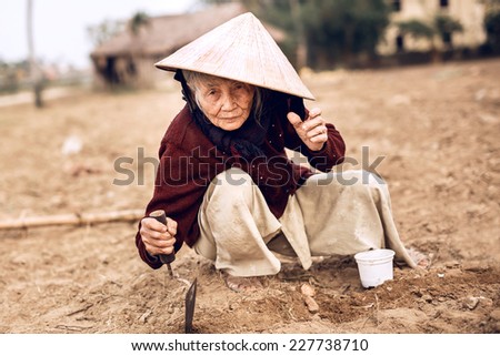 HUE,VIETNAM - DECEMBER 28:  Asian old farmer in the vegetable garden, in Hue on December 28,2013, Vietnam