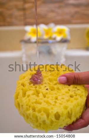 Spa Composition - soap on sponge with waterfall in back