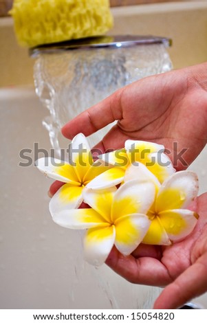 Spa Composition -  Hand giving exotic flowers with waterfall in back