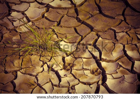 Famine . Conceptual image about global warming