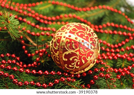 Branch of coniferous tree with red chain and christmas ball