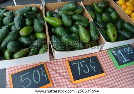 Boxes of different sizes of avocados for sale at an outdoor market.