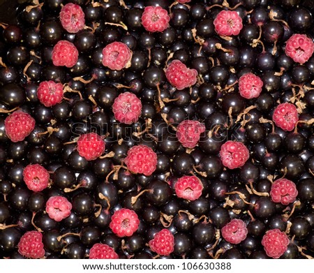 Berry Mix background - raspberries and black currant