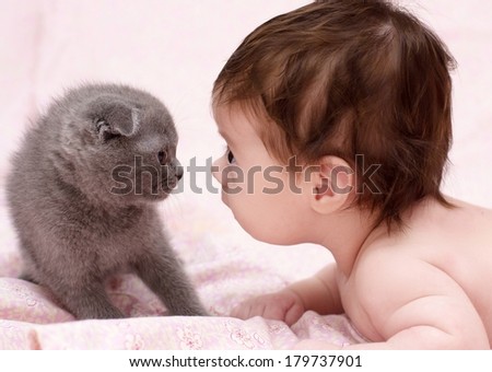cute baby girl with cat pet cute baby girl with cat pet