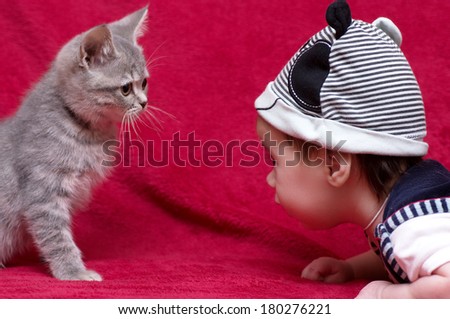 cute baby girl with cat pet