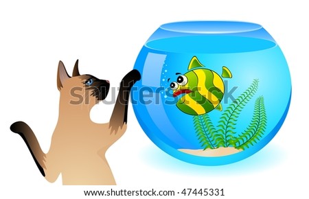 Cat In Fish Tank. cartoon fish tank.