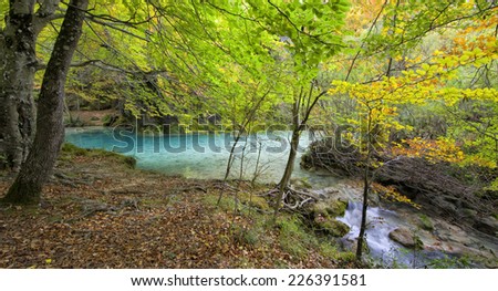 Autumn colors. Beautiful river.Real color of water.