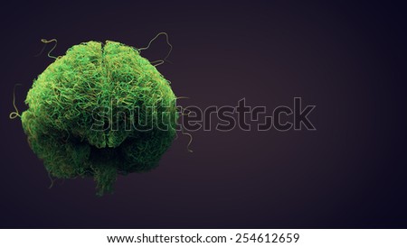 The green thinking brain (front view)