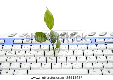 keyboard plant