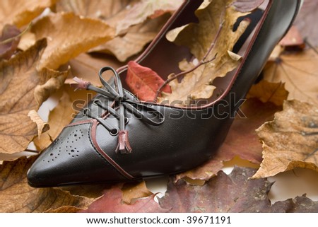 Shoe with fall leave