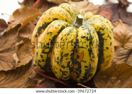 Pumpkin and fall leave