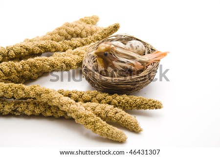 Bird Millet