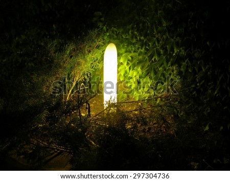 Garden torch 3. Garden lantern in the park at night.