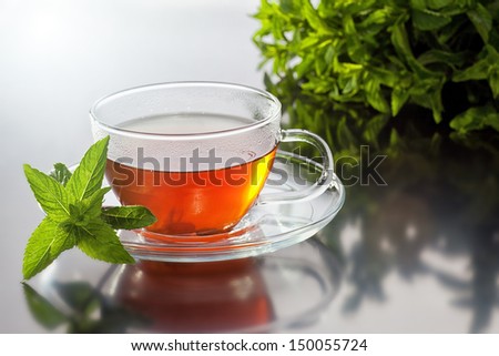 Transparent cup with green tea and fresh herbal bouquet on mirror background