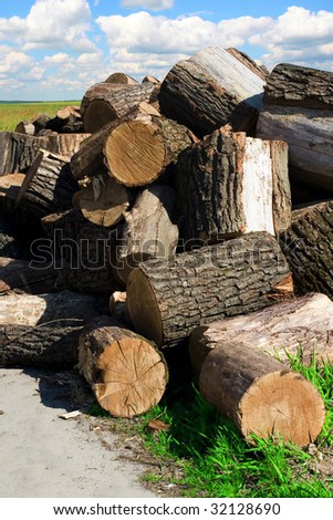 Piled firewood on background of blue sky are ready to be transported to the lumber mill