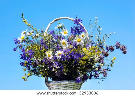 Bouquet of meadow flowers in a wicker basket on blue sky background. White daisies and purple violet flowers