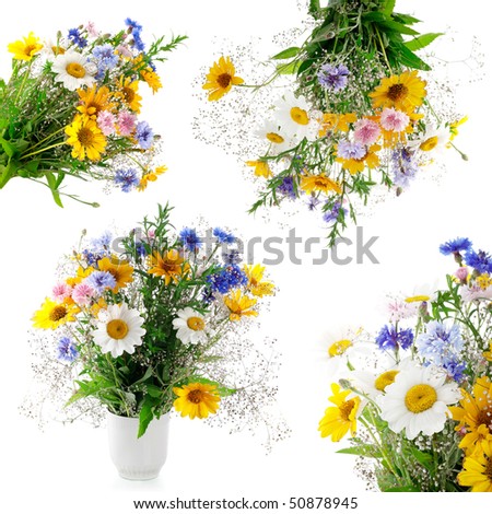 Collection of fresh bouquet Isolated on white background