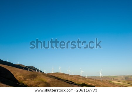 white windmills producing clean energy during a bright summer day helping fight against global warming