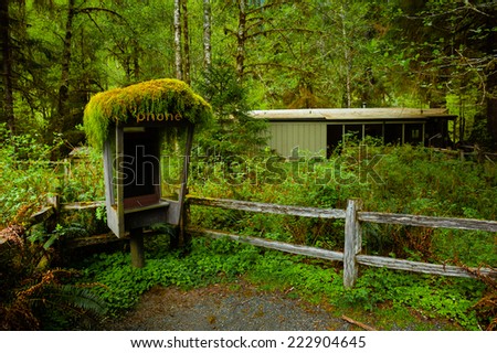 Abandoned phone booth in a tropical forest with an aged old house behind. Anyone making a call?