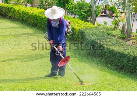 Worker cutting grass in garden with the weed trimmer
