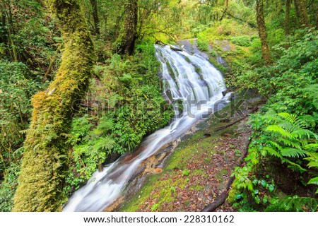 Waterfall in hill evergreen forest of Doi Inthanon, Chiang Mai, Thailand