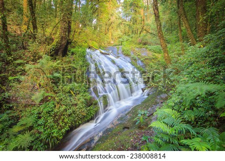 Waterfall in hill evergreen forest of Doi Inthanon, Chiang Mai, Thailand