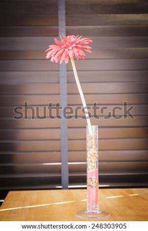 Red flower in vase on table and sill background. Vintage style decorate
