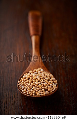 Mustard seeds on a spoon