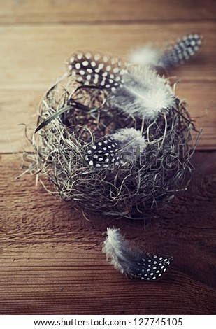 Easter nest with spotted feathers