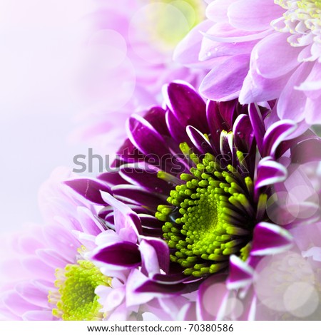stock photo Closeup of spring flower bouquet