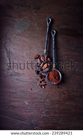 Cocoa beans and cocoa powder on iron spoons