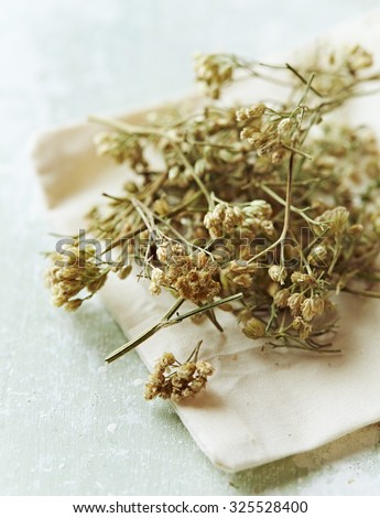 Organic yarrow flowers (achillea millefolium) for tea