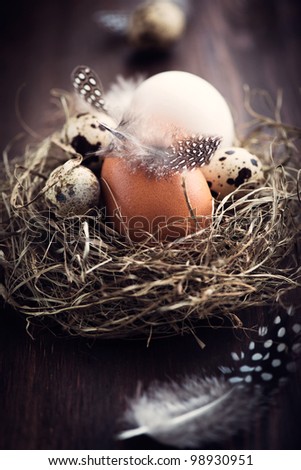 Rustic Easter Nest
