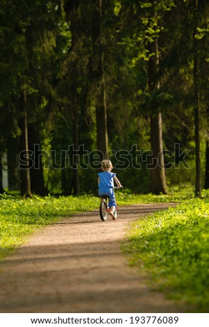 little girl riding a bicycle in the woods, back view
