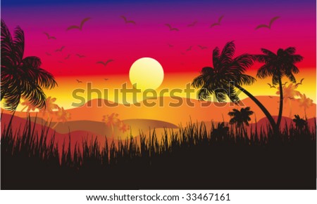 VECTOR Landscape of Tropical Sunset with Palms and flying birds