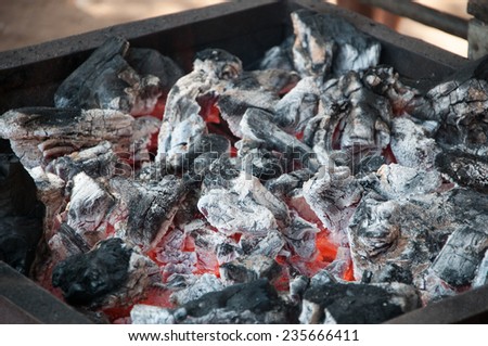 Fire on charcoal for food grilling in an oven.