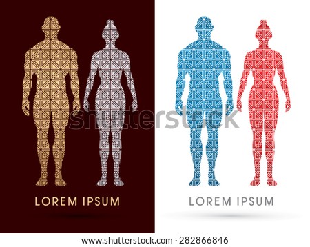 Male And Female Anatomy, Human Body, Full Body, Designed Using Luxury