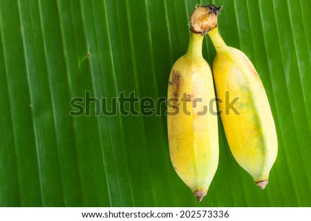 Cultivated Banana, Thai Banana, Green banana leaf background
