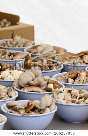 Purple plastic bowls filled with cultivated mushrooms for sale at the Clement Street Farmers Market in San Francisco.