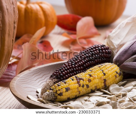 Indian corn on an oak table top with red leaves and pumpkins, pumpkins seeds in a turned wooden bowl.  Strong back light.