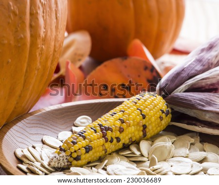 A Thanksgiving themed still life with corn, pumpkins, pumpkin seeds, red leaves and a turned ash wood bowl. Bright backlight.