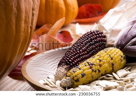 A Thanksgiving themed still life with corn, pumpkins, pumpkin seeds, red leaves and a turned ash wood bowl. Bright backlight.