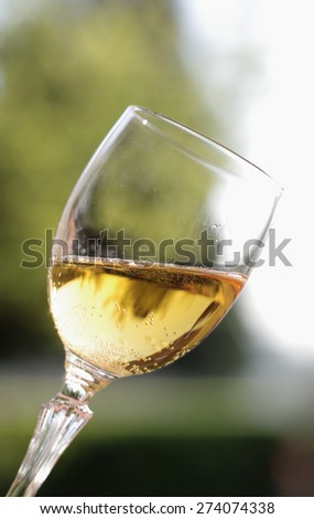 Glass of sparkling wine on a blurred background with sky and foliage of trees.
