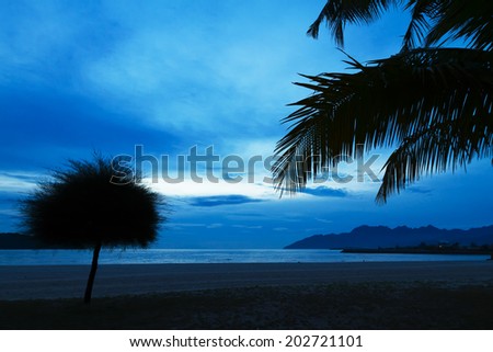 Blue hours - tropical beach