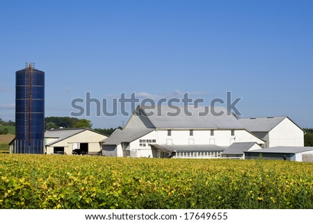 Barn and silo on a family farm.