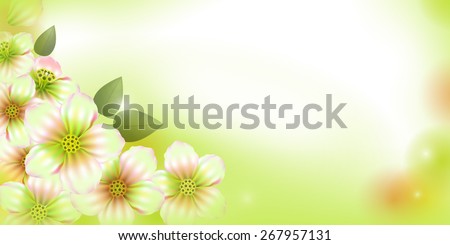 Flyer, envelope template. Apple blossoms. Flowers of apple tree. Spring floral vector background. Mesh. A branch of apple blossoms pink flowers on green background.