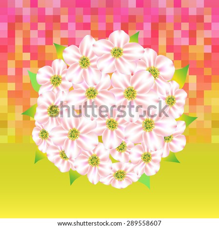 Abstract flowers. Spring. Mesh. White flowers on pink/ green background. Wedding bouquet
