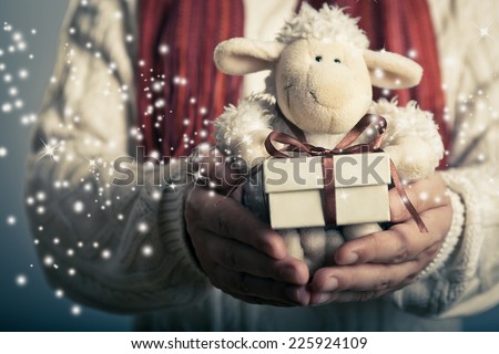 Christmas and New Year concept. Hands holdimg small  magic gift box and soft toy.